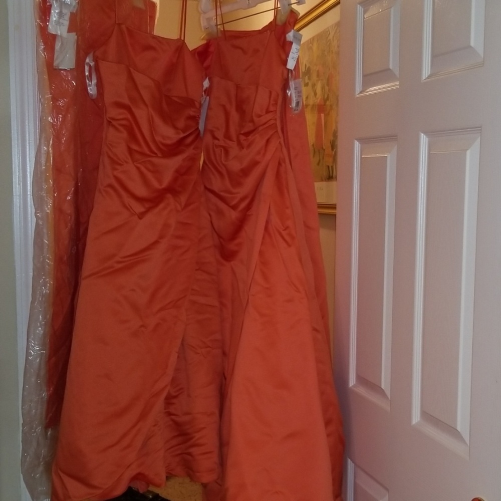 David's Bridal Junior Bridesmaids Dresses/Shawls